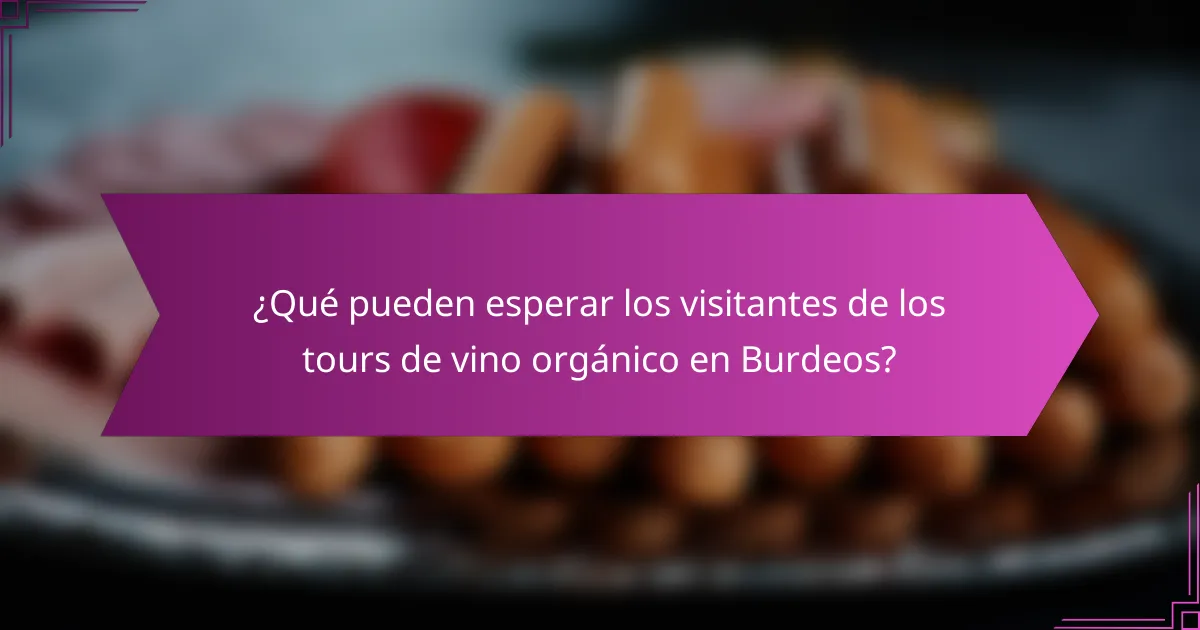 ¿Qué pueden esperar los visitantes de los tours de vino orgánico en Burdeos?